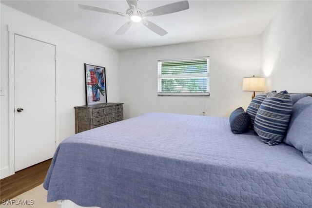 bedroom featuring ceiling fan and dark hardwood / wood-style floors