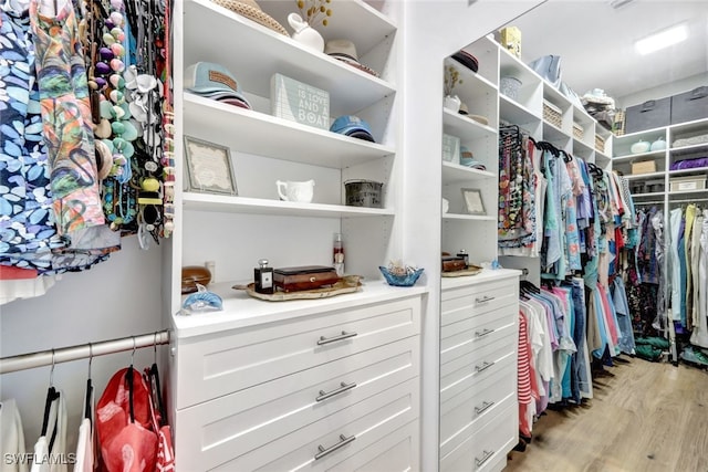 spacious closet with light hardwood / wood-style floors