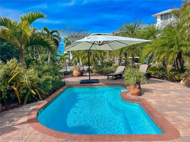 view of swimming pool with a patio area