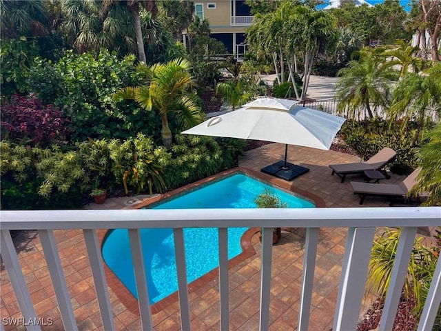 view of swimming pool featuring a patio area