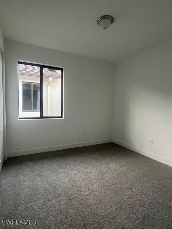 spare room with carpet