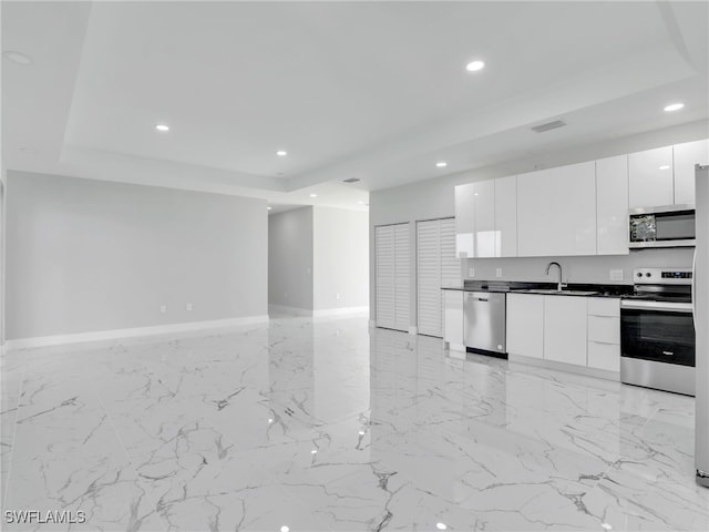 1423 NW 20th Ter, Cape Coral, FL 33993 - kitchen with stainless steel appliances, a tray ceiling, recessed lighting, a sink, and modern cabinets