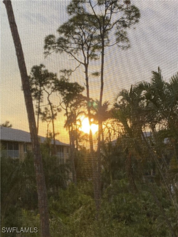 view of nature at dusk