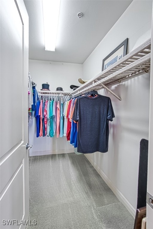 view of walk in closet