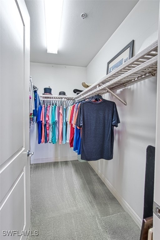 2104 W 1st St Unit 3204, Fort Myers, FL 33901 - walk in closet with carpet