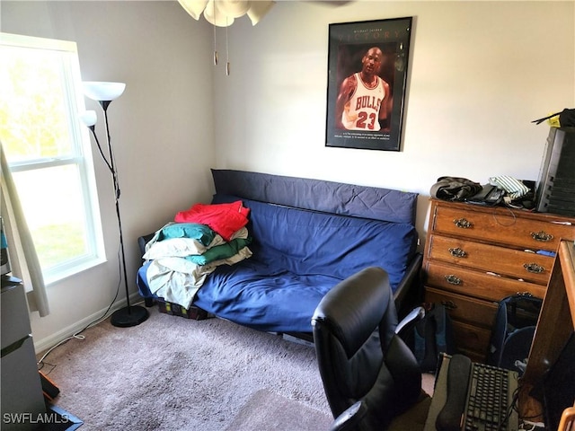 bedroom with carpet flooring