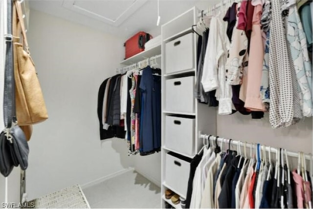 view of walk in closet