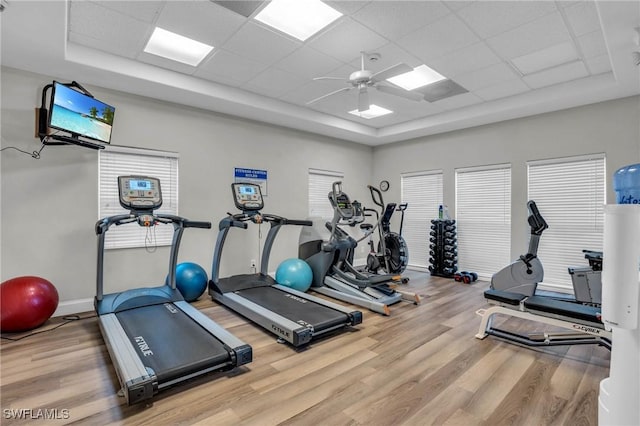 gym with a paneled ceiling, ceiling fan, and wood-type flooring