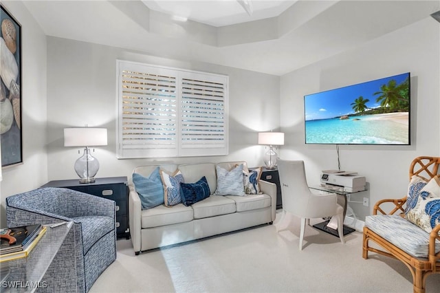 living room with a tray ceiling