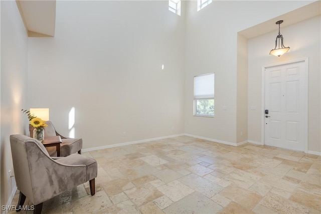 foyer entrance with a high ceiling and a wealth of natural light