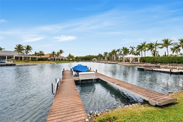 dock area with a water view