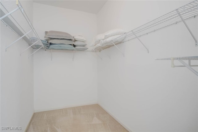 spacious closet featuring light carpet