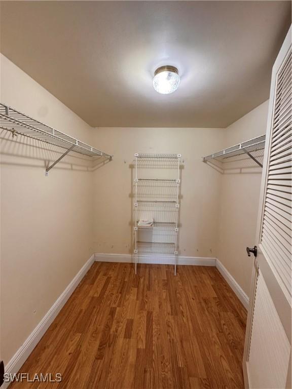 spacious closet featuring hardwood / wood-style floors