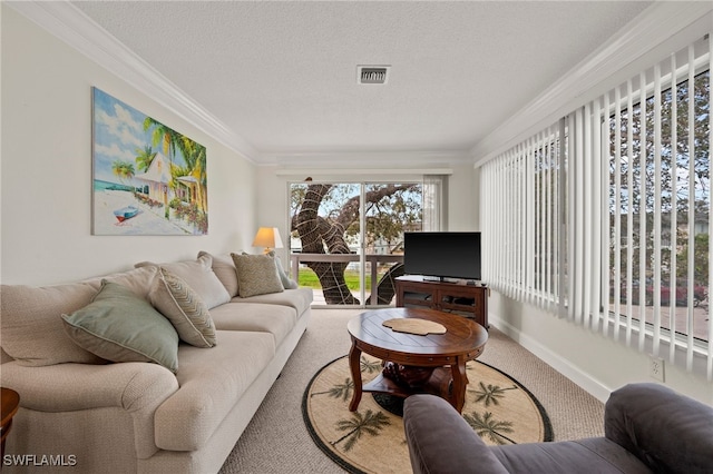 living room featuring crown molding, carpet, and a textured ceiling