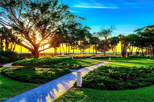 view of property's community with a lawn