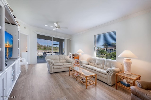 living room with ceiling fan, light hardwood / wood-style floors, and crown molding