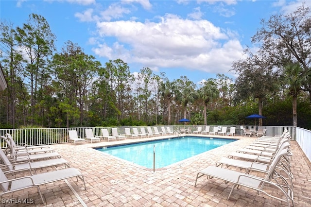 view of swimming pool with a patio