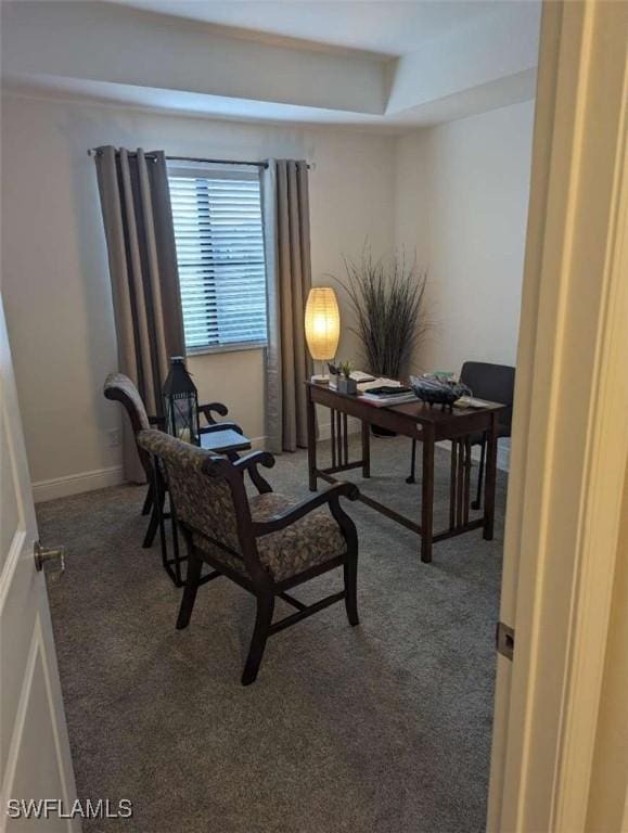 carpeted office space with a tray ceiling