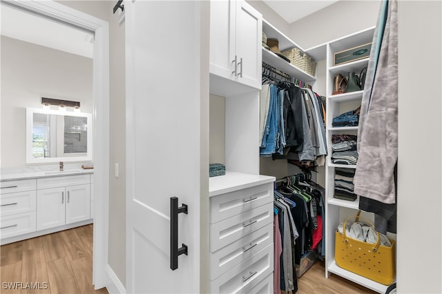 spacious closet featuring light hardwood / wood-style flooring and sink