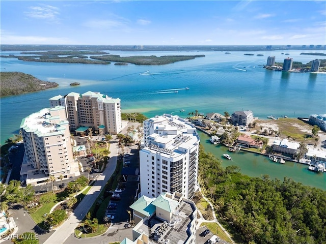 aerial view with a water view