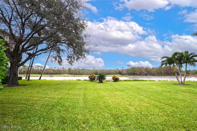 view of yard with a water view