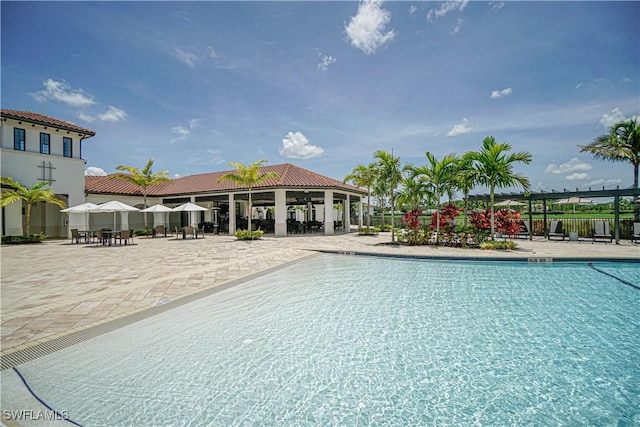 view of swimming pool featuring a patio