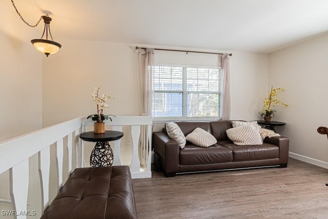 living room featuring wood-type flooring