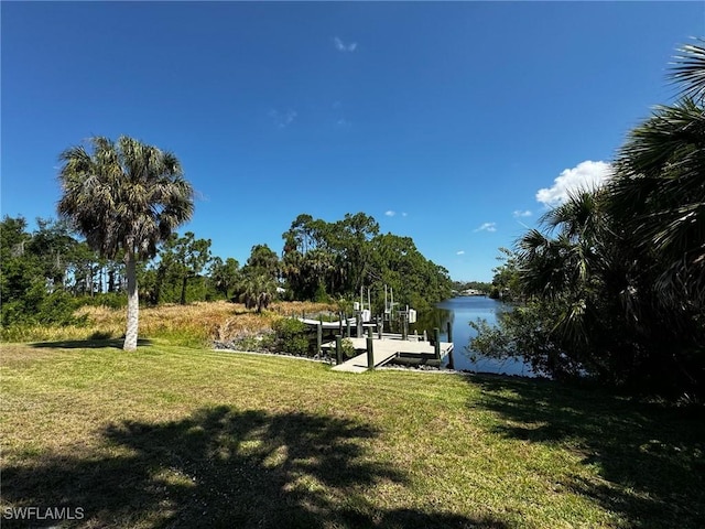 view of property's community featuring a boat dock and a yard