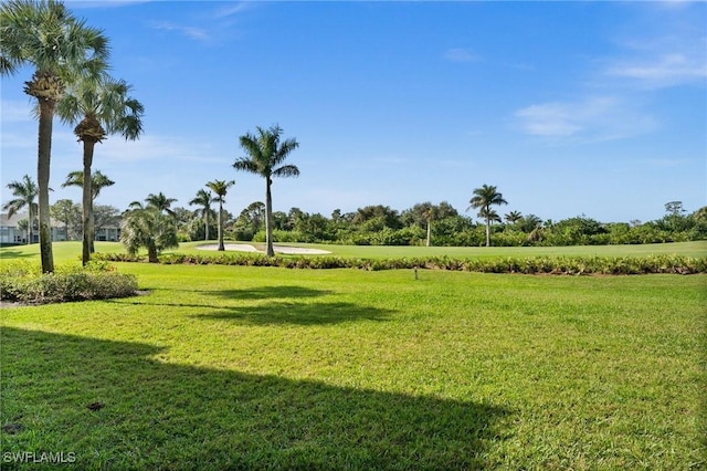 view of property's community with a yard