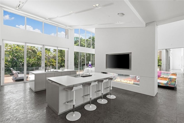 living area featuring a high ceiling