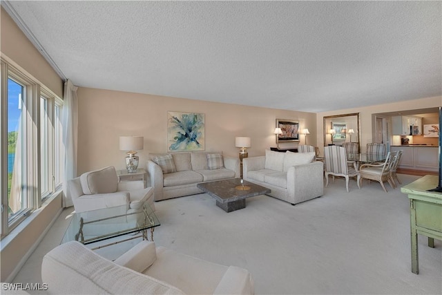 living room with light carpet and a textured ceiling