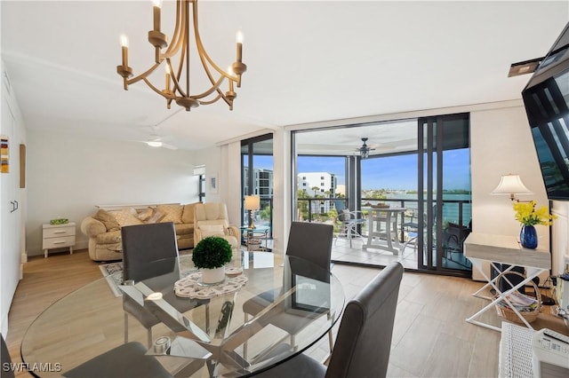 dining space with ceiling fan with notable chandelier, expansive windows, and light hardwood / wood-style floors