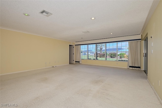 carpeted spare room with crown molding, a mountain view, and a textured ceiling