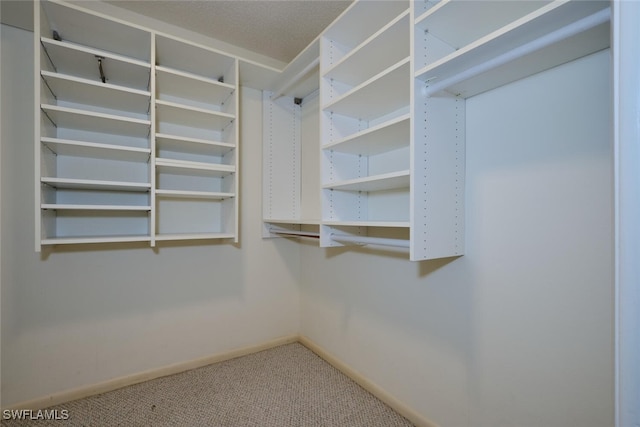 walk in closet with carpet floors