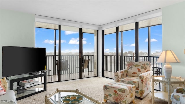 living room with expansive windows and carpet flooring