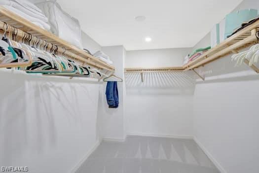 view of walk in closet