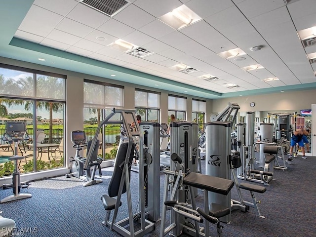 workout area with a healthy amount of sunlight, a paneled ceiling, and carpet flooring