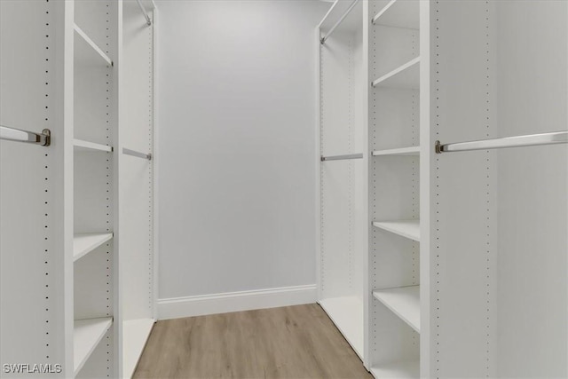 walk in closet featuring wood finished floors