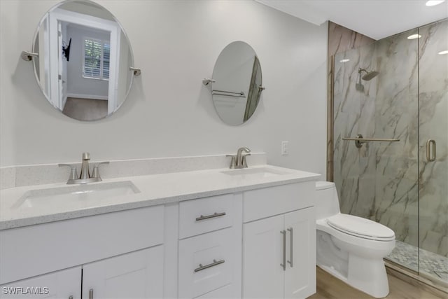 full bathroom featuring toilet, a marble finish shower, and a sink