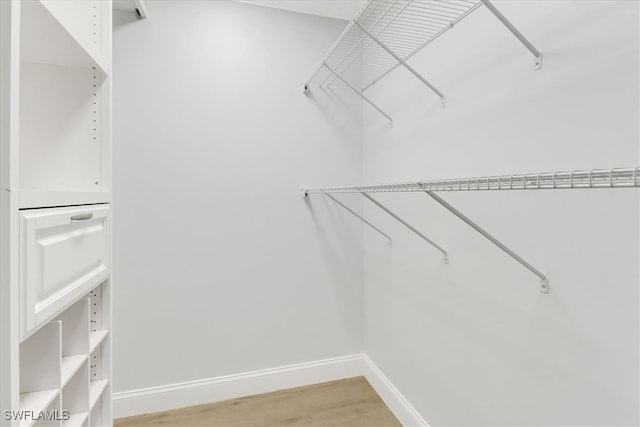 spacious closet featuring light wood-style flooring