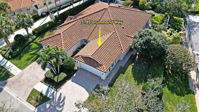 aerial view