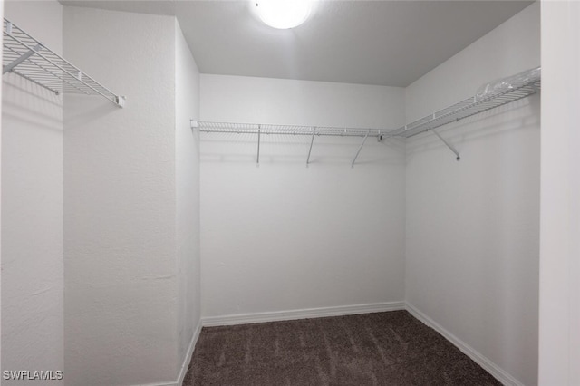 spacious closet with dark carpet