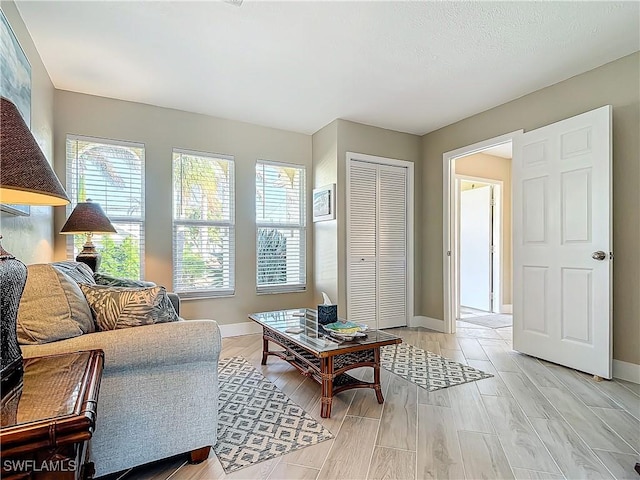 living room featuring light hardwood / wood-style flooring