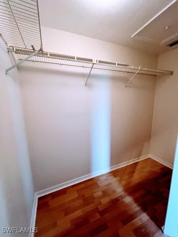 spacious closet featuring wood-type flooring