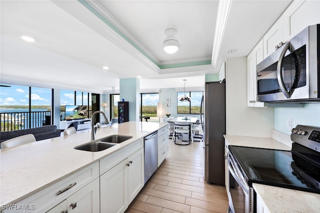 kitchen with stainless steel appliances, white cabinetry, a tray ceiling, and sink