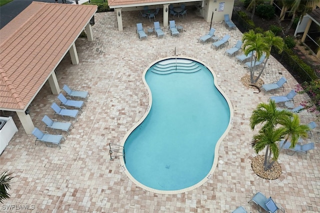 view of swimming pool featuring a patio area