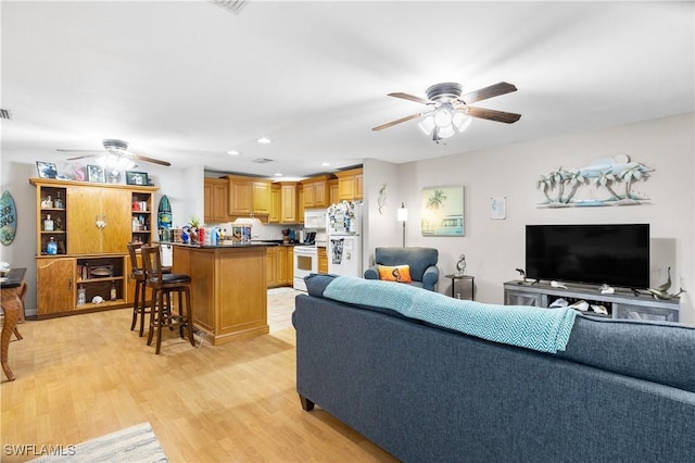 living room featuring light hardwood / wood-style flooring