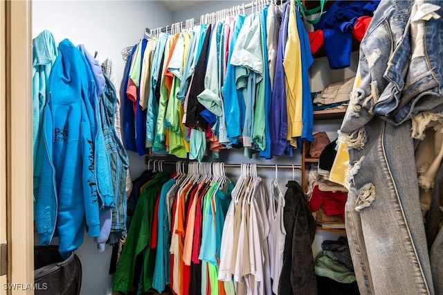 view of walk in closet