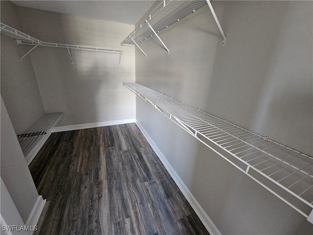 walk in closet featuring dark hardwood / wood-style flooring