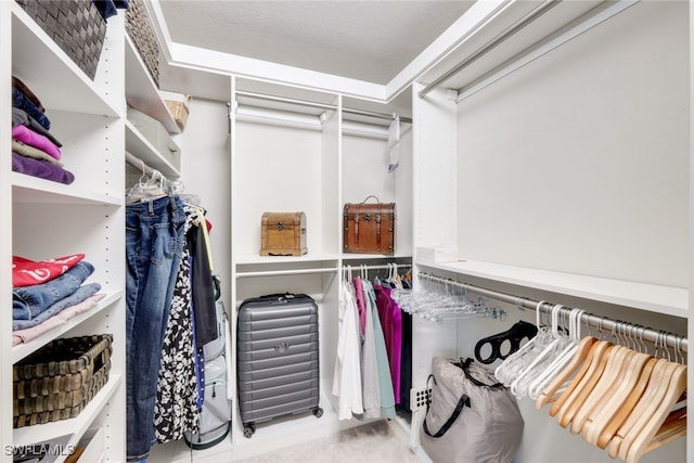 view of spacious closet